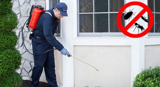 Çan Böcek İlaçlama böcek ilaçlama ve haşere kontrolü — ilaclama-tr.com